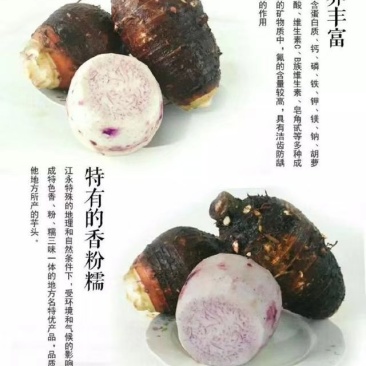 荔浦香芋