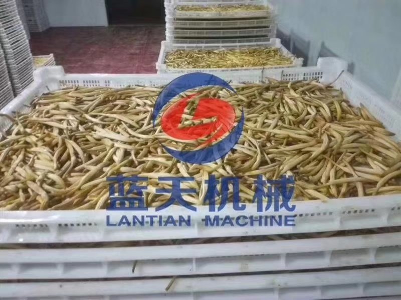 黄花菜烘干机黄花菜烘干房黄花菜烘干箱热泵箱式烘干机