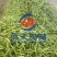 黄花菜烘干机黄花菜烘干房黄花菜烘干箱热泵箱式烘干机