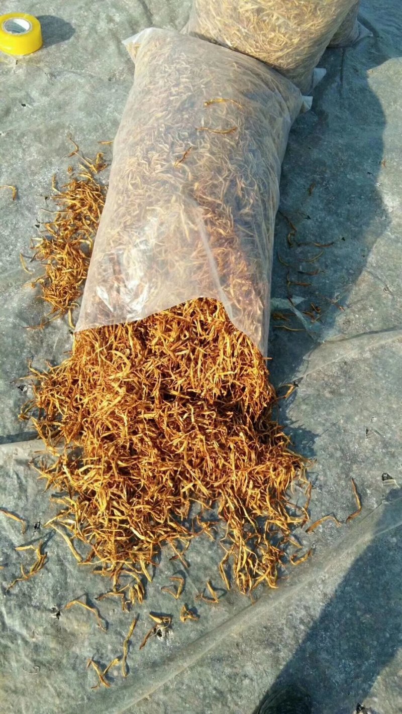 黄花菜烘干机黄花菜烘干房黄花菜烘干箱热泵箱式烘干机