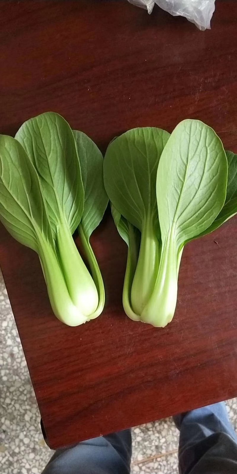 【热销】（坏菜包赔）精品小青菜油菜产地直销