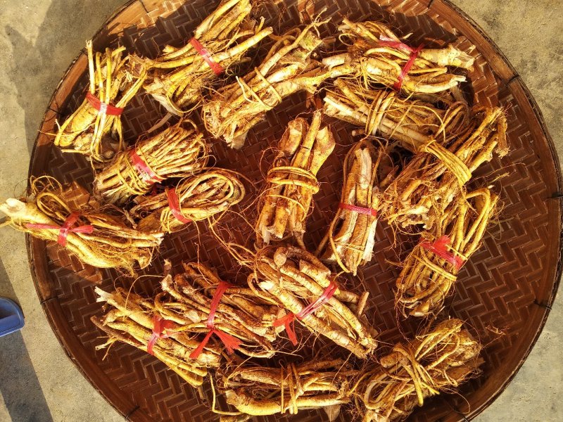 香味浓纯五指毛桃干货，一手货源，源产地，自己加工扎把切段