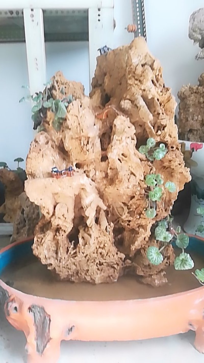 上水石