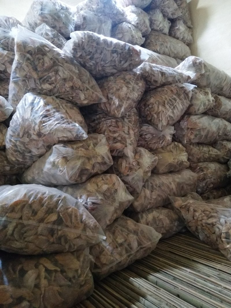 笋干