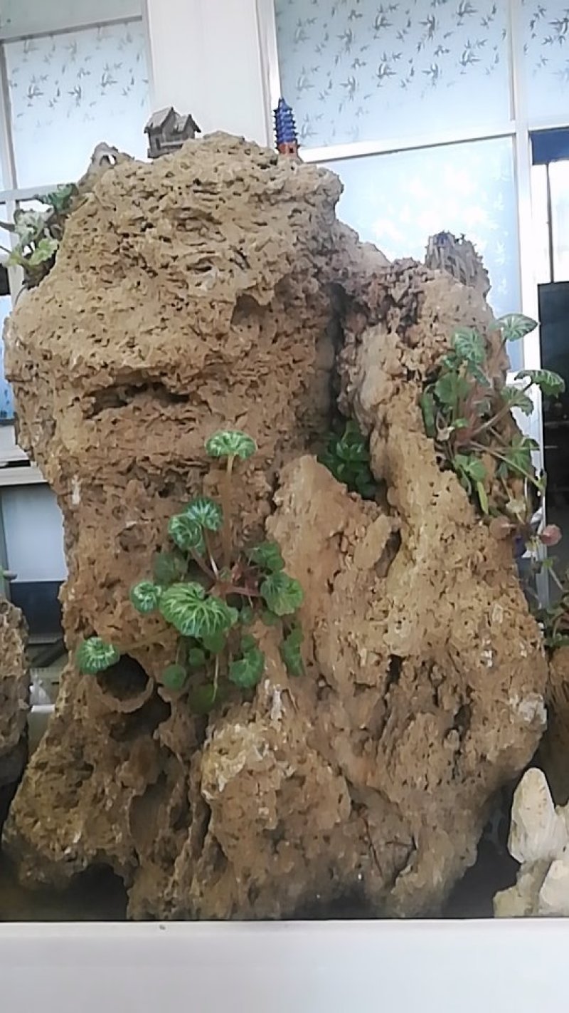 上水石