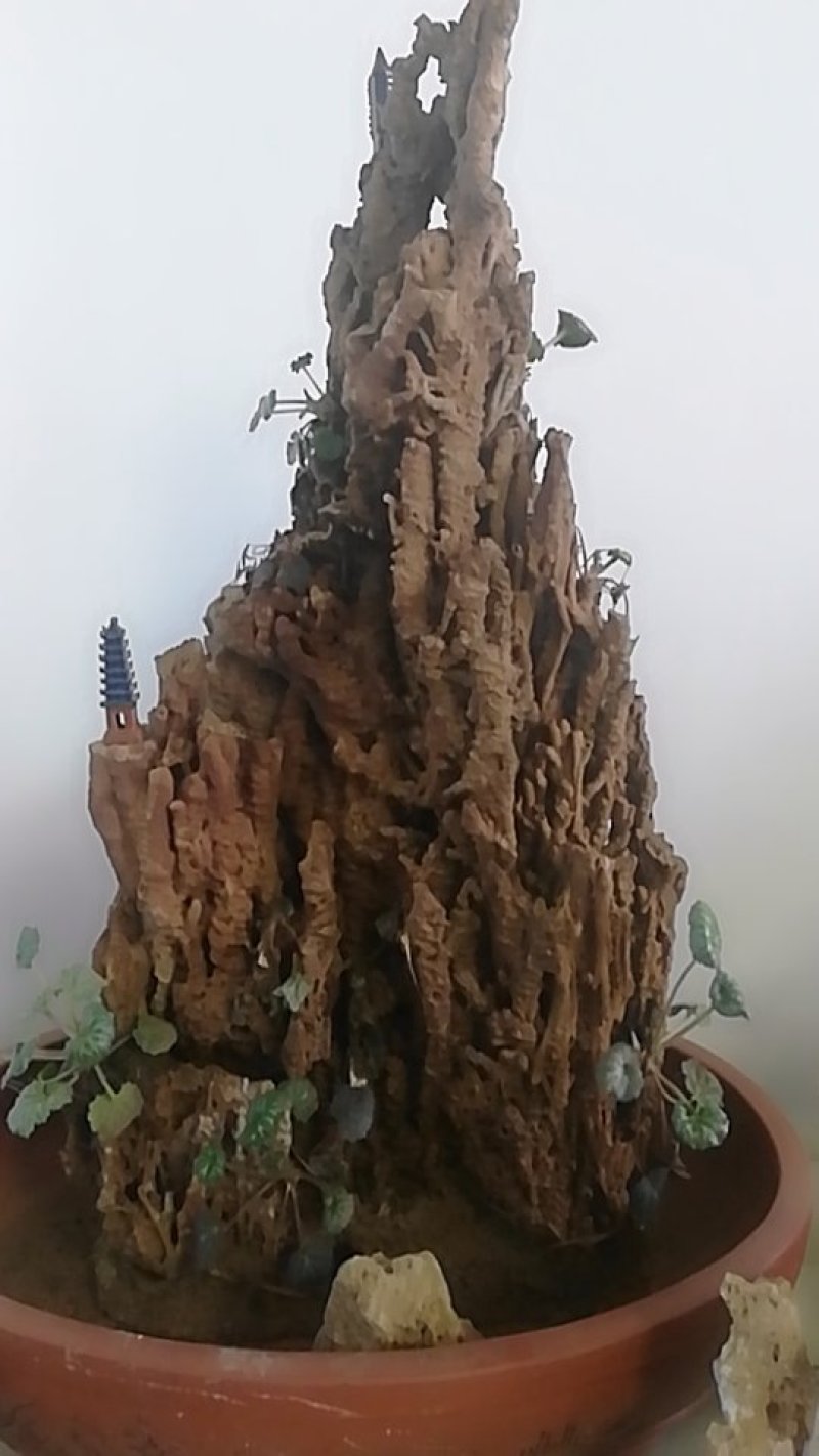 上水石