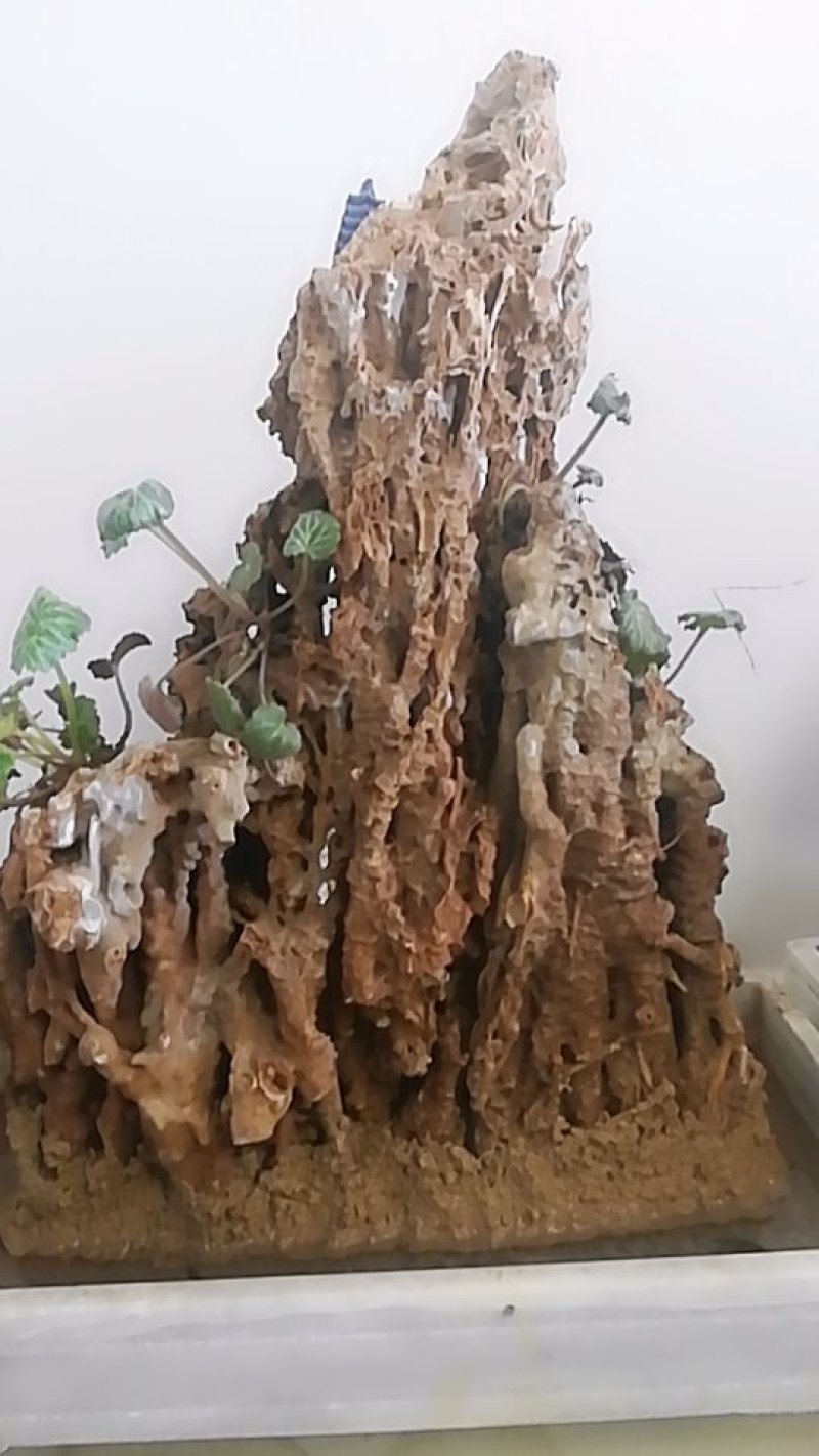 上水石