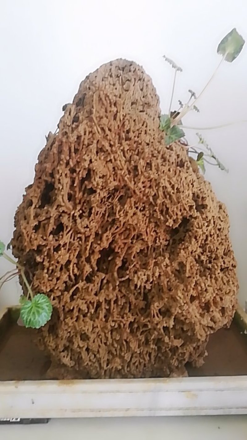 上水石