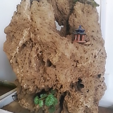 上水石