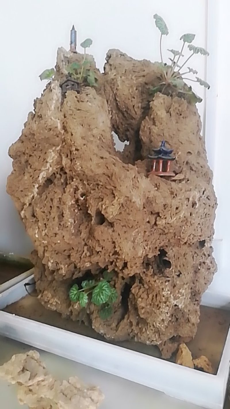 上水石