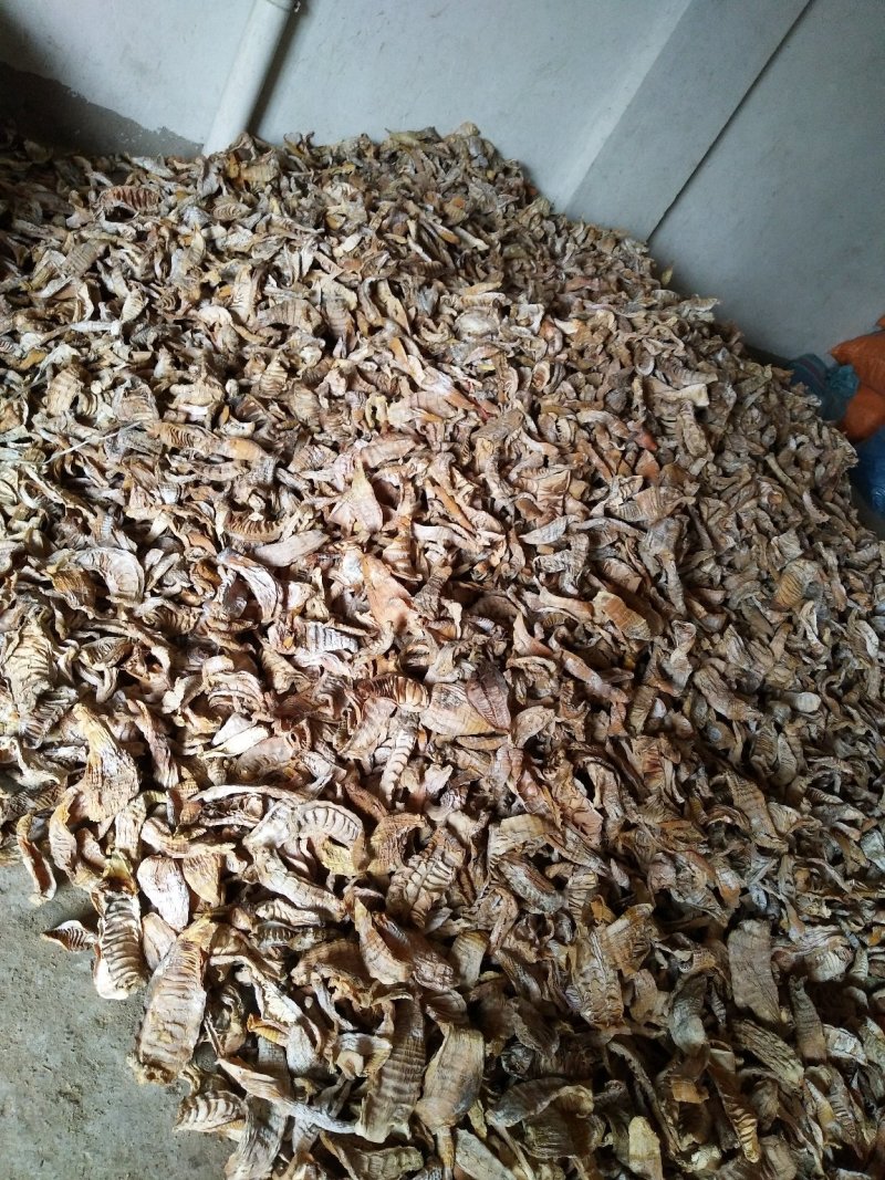 通货笋干