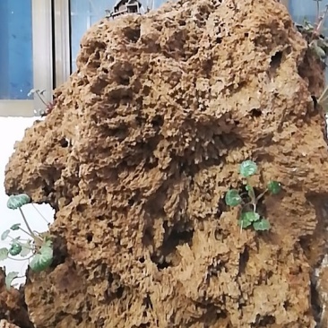 上水石
