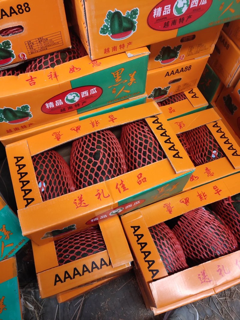 正宗西瓜一手货源量大从优