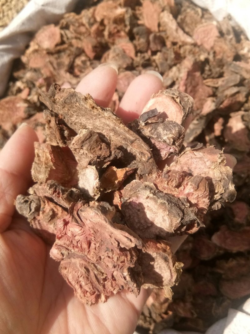 红景天西藏大花正品高含量药用一公斤起包邮