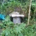 纯天然百花土蜂蜜