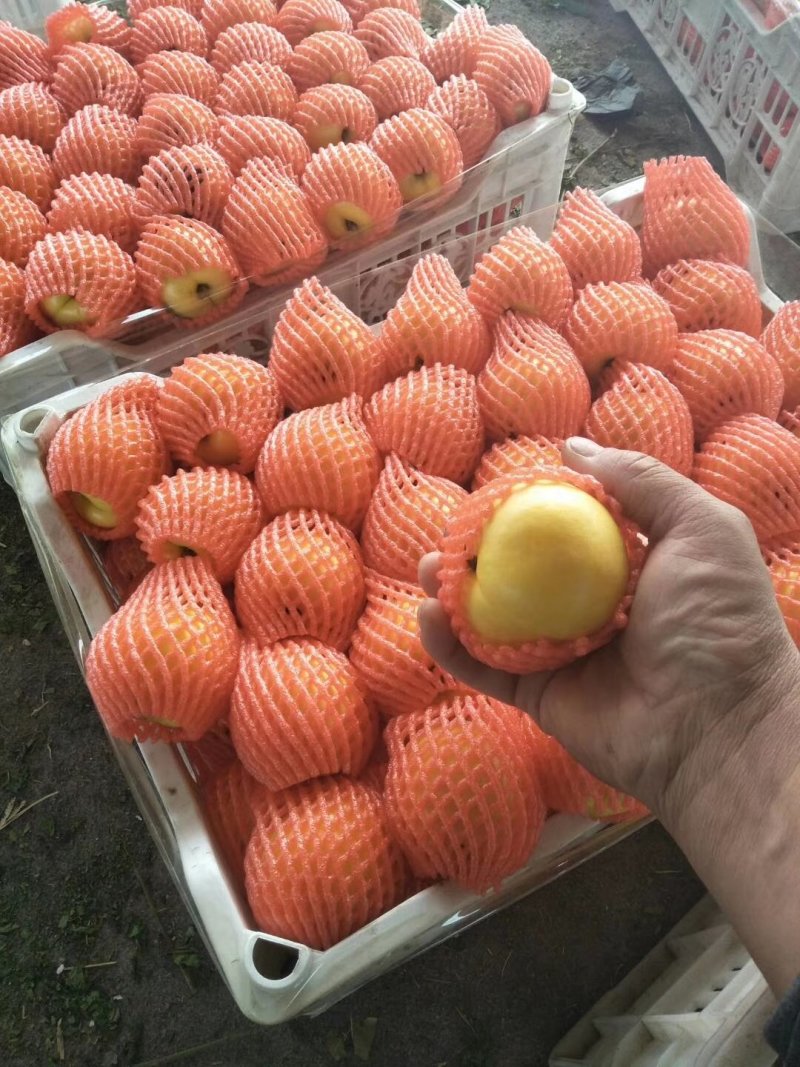 黄桃