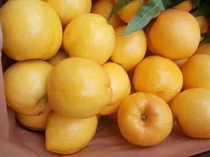 黄桃