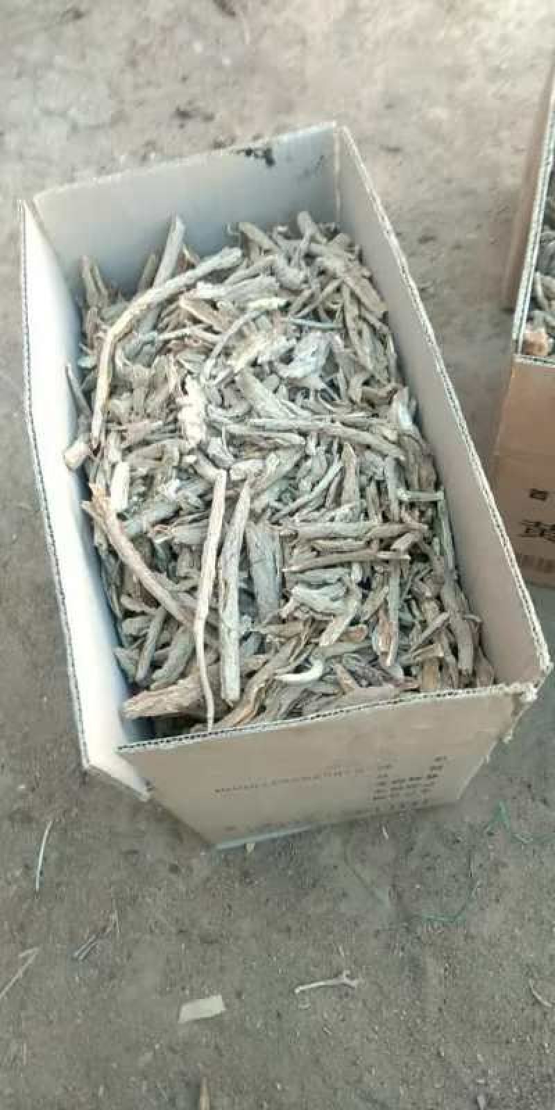 特此推荐地骨皮欢迎咨询与选购，常年有货！