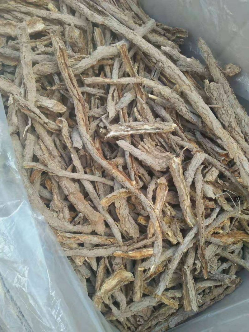 特此推荐地骨皮欢迎咨询与选购，常年有货！