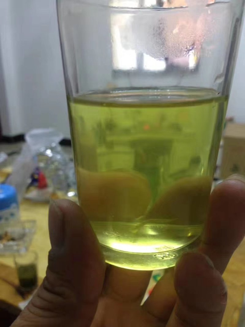 安徽绿茶岳西玄月，可以免费发样品