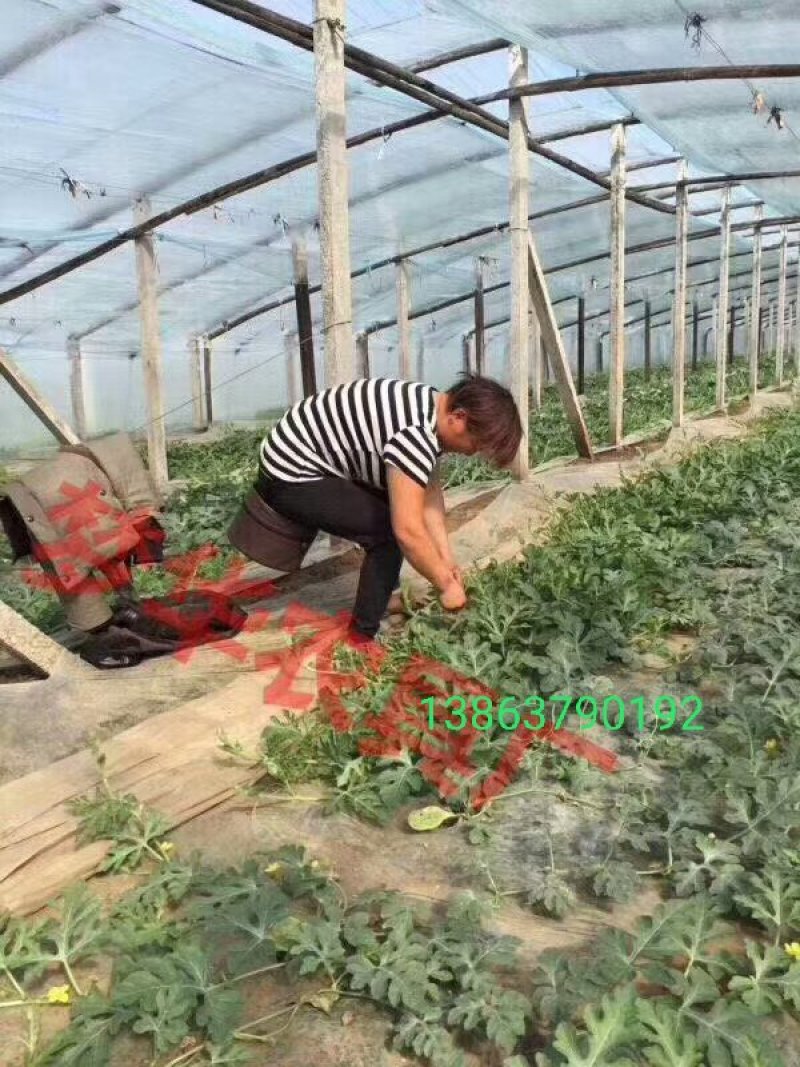 农用墩，随身凳