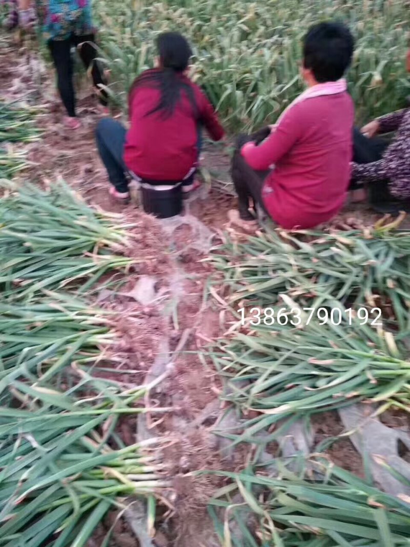 农用墩，随身凳