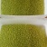 供应豆虫卵