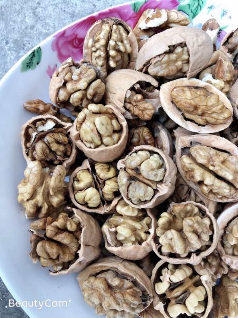 新疆薄皮核桃中果大果产地直销优质果一袋70斤