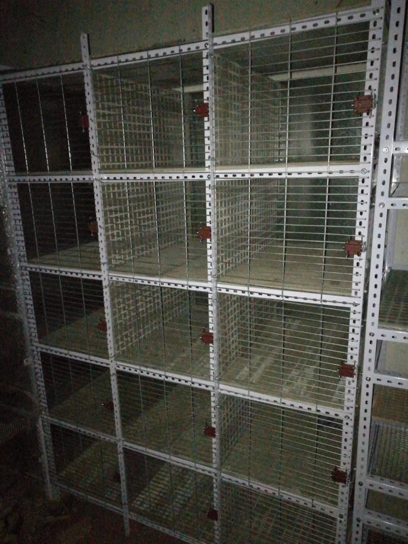 最新款立体养殖笼材料一套起邮