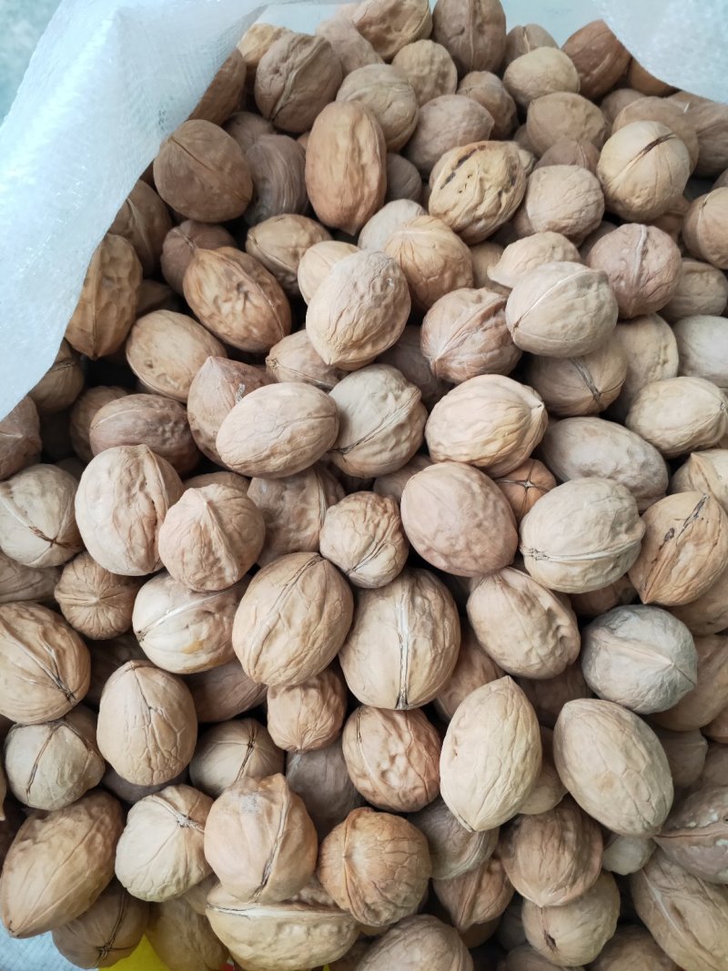 地摊江湖展会产品新疆薄皮核桃中果大量现货
