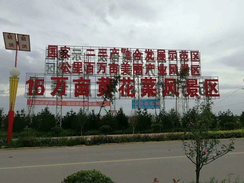 陕西大荔大条黄花菜种苗，分根力强，成活率高，不分区域限制
