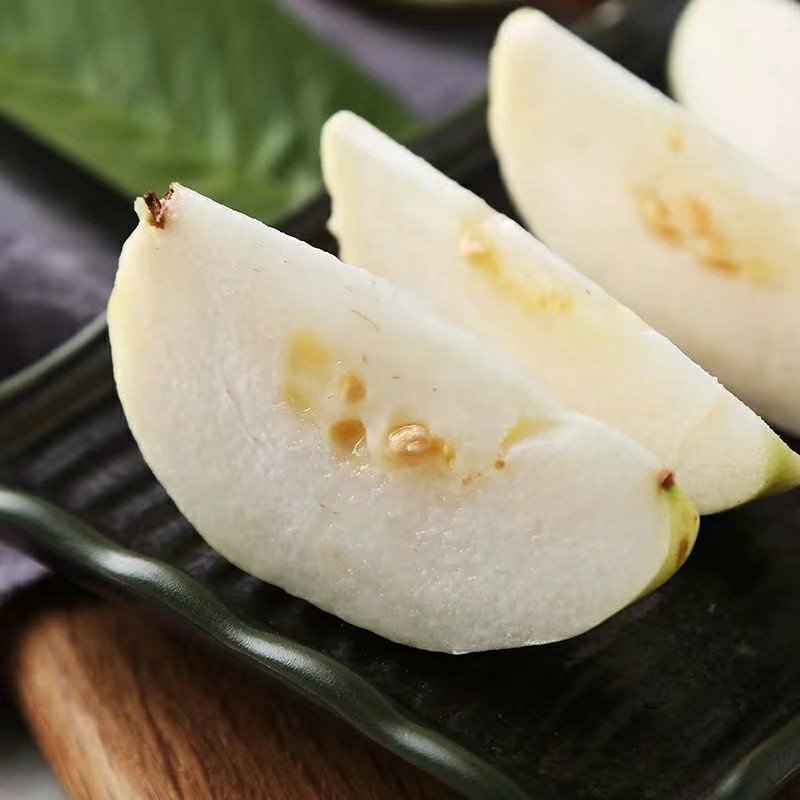 热卖特价包邮番石榴苗西瓜芭乐珍珠番石榴苗