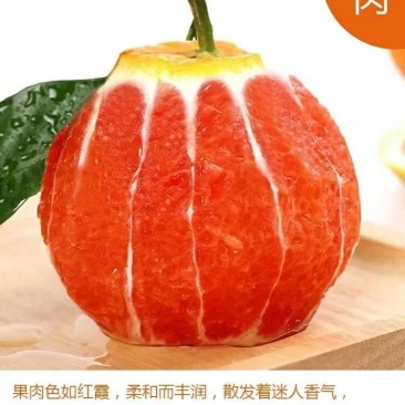 红心橙子苗血橙苗红心橙子苗红心橙子苗包邮