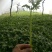茼蒿？？都报点真价格别老是吹牛逼了。没人会信你时