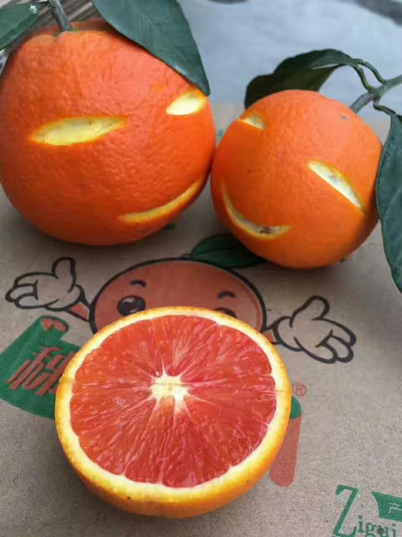 橙子，红心脐橙给钱就卖果园现采口感甜蜜