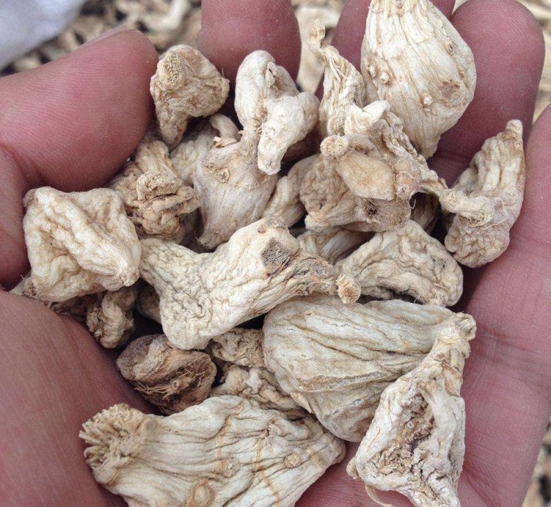 中药材白及干货选货