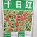 千日红种子红粉紫白花色多耐旱可货到付款