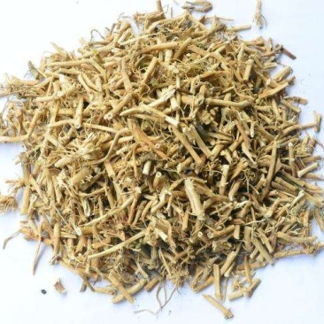 中药材白前水杨柳鹅白前草白前石蓝