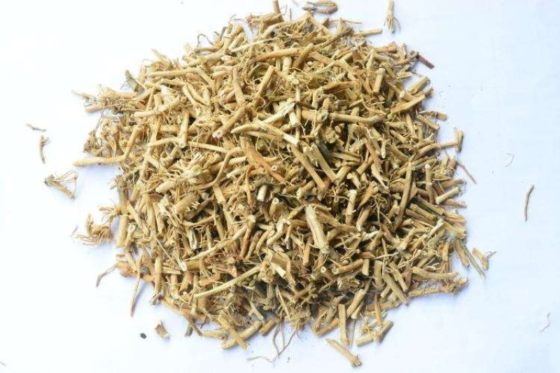 中药材白前水杨柳鹅白前草白前石蓝