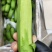 香蕉货量充足全年供应,青二黄大黄有货