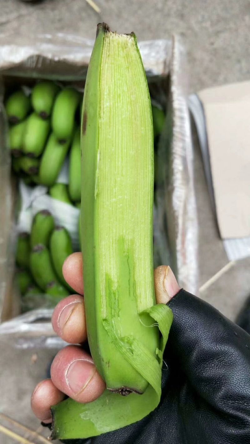 香蕉货量充足全年供应，青二黄大黄有货