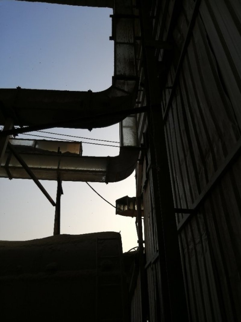 压缩稻壳垫料散装稻壳做酒做醋