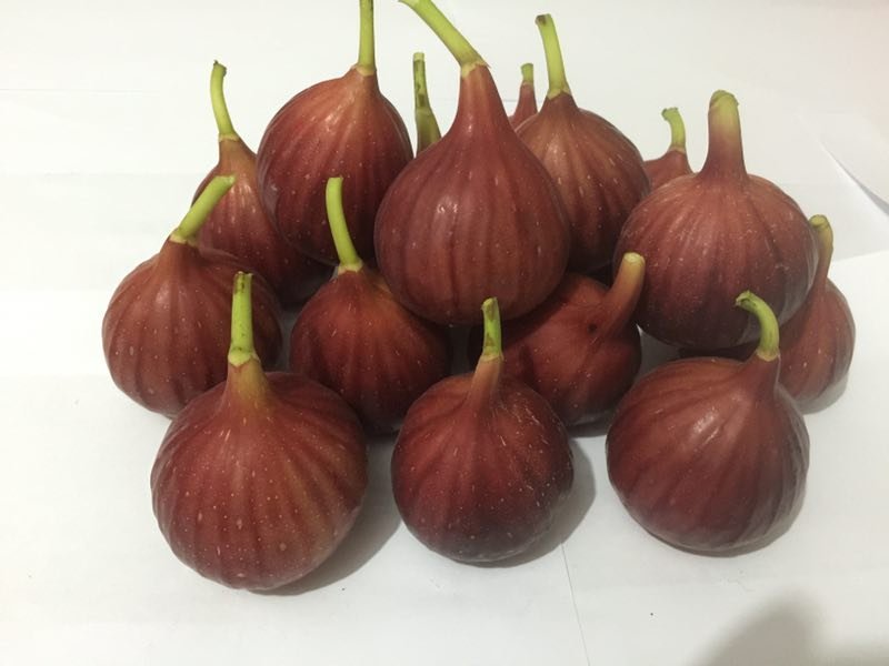 无花果鲜果新鲜无花果波姬红量大稳定的联系