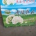 青梗散花菜花优质精品菜花，冷库大量出