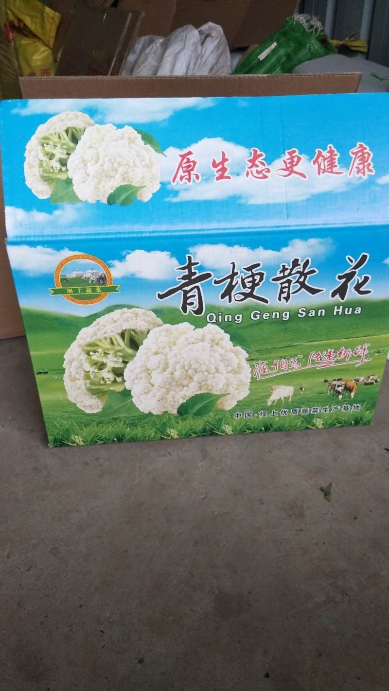 青梗散花菜花优质精品菜花，冷库大量出