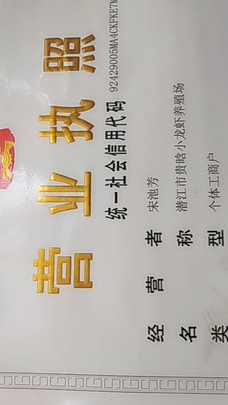 潜江养殖特大螺蛳，鲜活，豹头特大，欢迎新老客户选购
