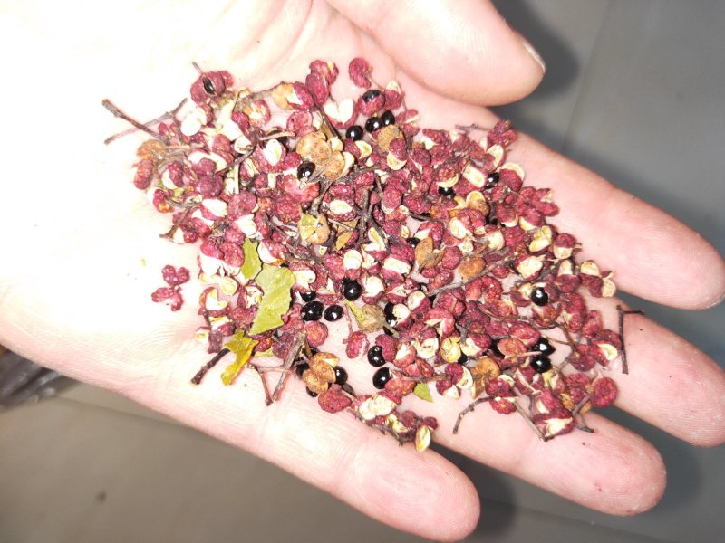 汉源花椒