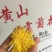 金丝黄菊