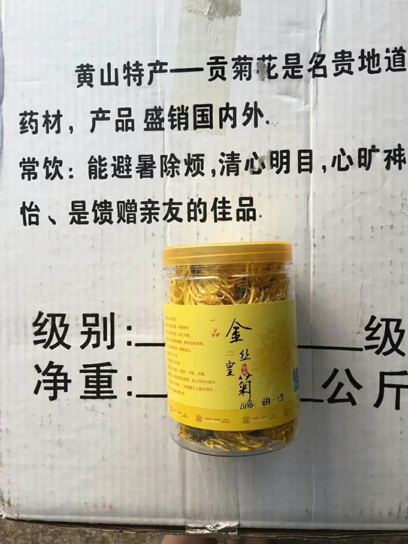 金丝黄菊