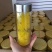 金丝黄菊